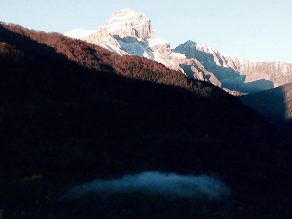 12193858_747742985331073_736583809310696631_n